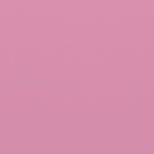 Meet your Posher, Bonnie